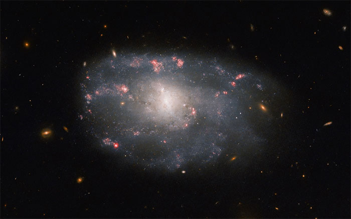 Thiên hà NGC 5486 chụp bởi kính viễn vọng Hubble.