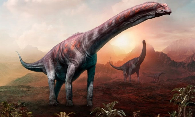 Argentinosaurus có thể là loài khủng long lớn nhất từng tồn tại.