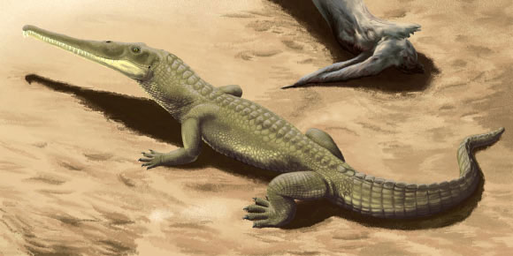  Chân dung Colossosuchus techniensis khi còn sống trên Trái đất