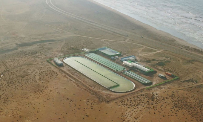 Cơ sở thí điểm nuôi trồng vi tảo tại Akhfenir, miền nam Morocco.