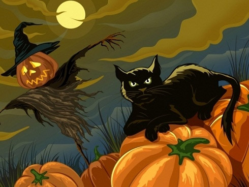 Mèo đen