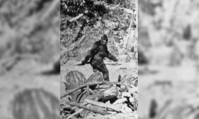 Bức ảnh chụp sinh vật được cho là Bigfoot ở đông bắc Eureka, California năm 1967