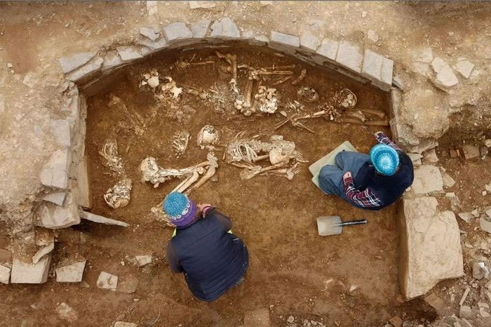 Các nhà khảo cổ phát hiện 14 bộ xương người tiền sử trong một hầm mộ cổ