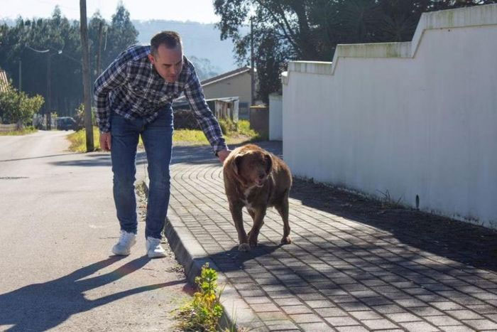Leonel Costa đi dạo cùng Bobi - chú chó già nhất thế giới của mình.