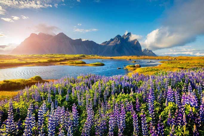 Iceland là quốc gia bình yên nhất thế giới.