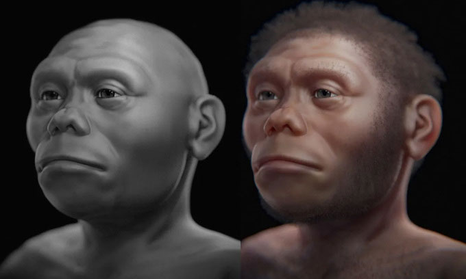  Bản tái tạo khuôn mặt của người Homo floresiensis. 