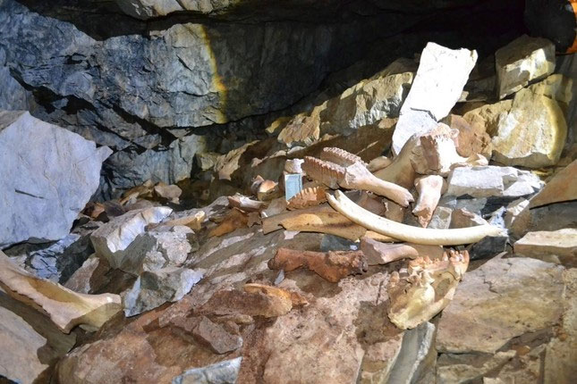 Những bộ xương được tìm thấy bên trong hang động ở Siberia có niên đại 42.000 năm.