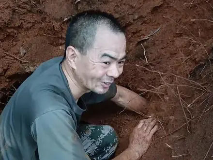 Lão nông tìm thấy một tổ mối khổng lồ nên đã tìm cách đào lên để chúng không hại cây cối.