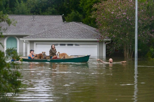 Một số khu vực ở Houston (Mỹ) từng hứng lượng mưa hơn 1.300 mm do bão.