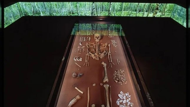 Một phần của cuộc triển lãm tại Bảo tàng Tiền sử Bang ở Halle (Saale) ở Đức về ngôi mộ kép.