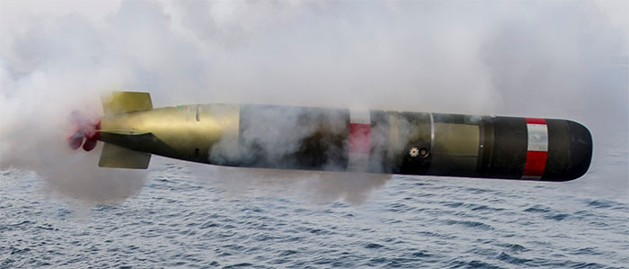 Ngư lôi Mk. 54 có thể phóng từ tàu mặt nước, trực thăng và máy bay.