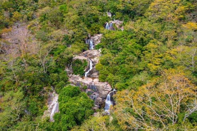 Hệ thực vật vùng lõi tại Khu dự trữ sinh quyển thế giới Núi Chúa, Ninh Thuận.