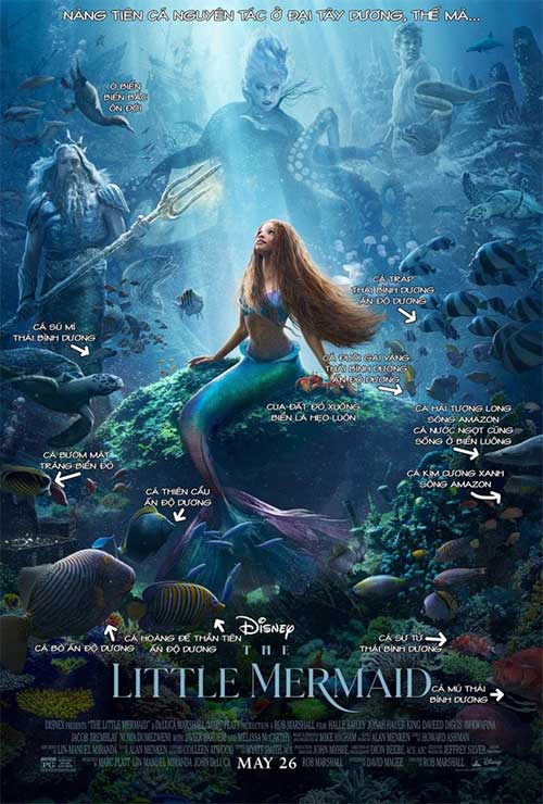 Poster chính thức của phim nàng tiên cá.