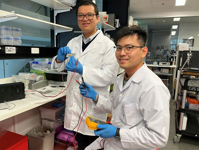 Tiến sĩ Trương Vĩ Khánh (trái) cùng nghiên cứu sinh Nguyễn Tiến Thành tại phòng thí nghiệm