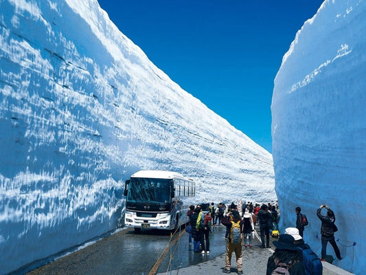 Con đường đi bộ giữa "Bức tường tuyết" được thiết kế tuyến xe buýt song song với đường đi bộ.