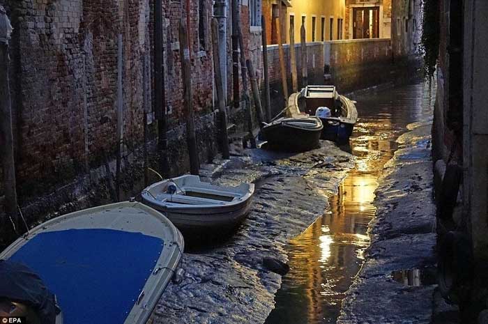 Những năm trở lại đây, thành phố Venice đang phải đối mặt với những đợt thủy triều thấp.
