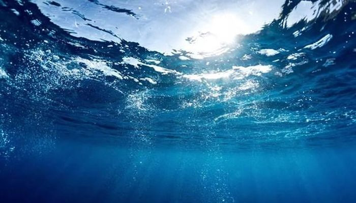 Các vi khuẩn sống dưới nước sử dụng "ăngten" đặc biệt để thu năng lượng Mặt trời.