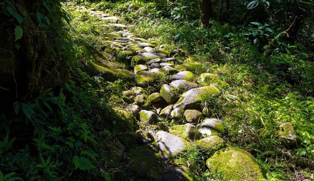 Con đường đá cổ phủ đều rêu phong, xuyên qua rừng già mang tên đường Pavi.
