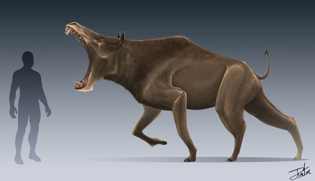 Lợn Daeodon cũng được biết đến là loài lợn có bộ hàm khủng khiếp.