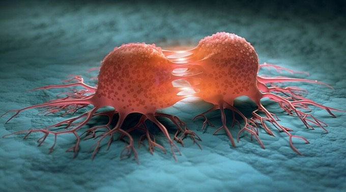 Tế bào ung thư được biểu thị bằng đồ họa mô phỏng.