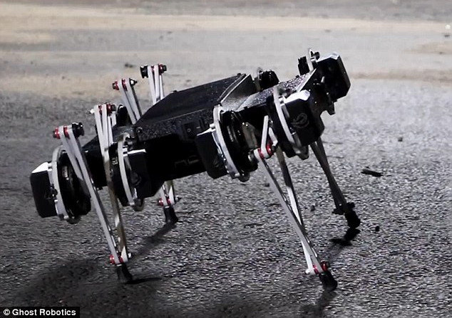 Con robot này có giá dự kiến là 10.000 USD.