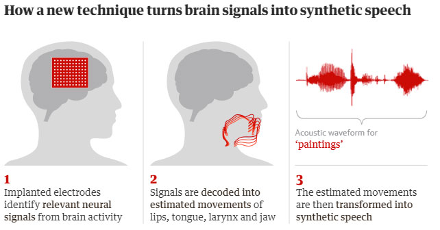 Các bước chuyển đổi tín hiệu não thành lời nói tổng hợp.