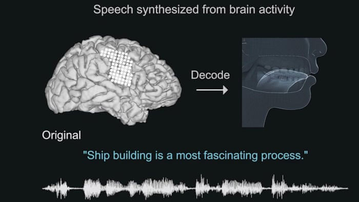 Chuyển đổi tín hiệu từ não thành chuyển động phát âm.