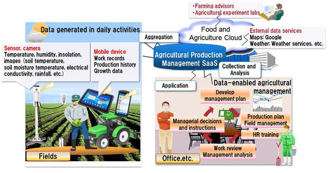 Nhờ công nghệ điện toán đám mây mà người nông dân có thể sử dụng các cảm biến trên thực địa để phân tích và cho ra những quyết định tối ưu nhất.