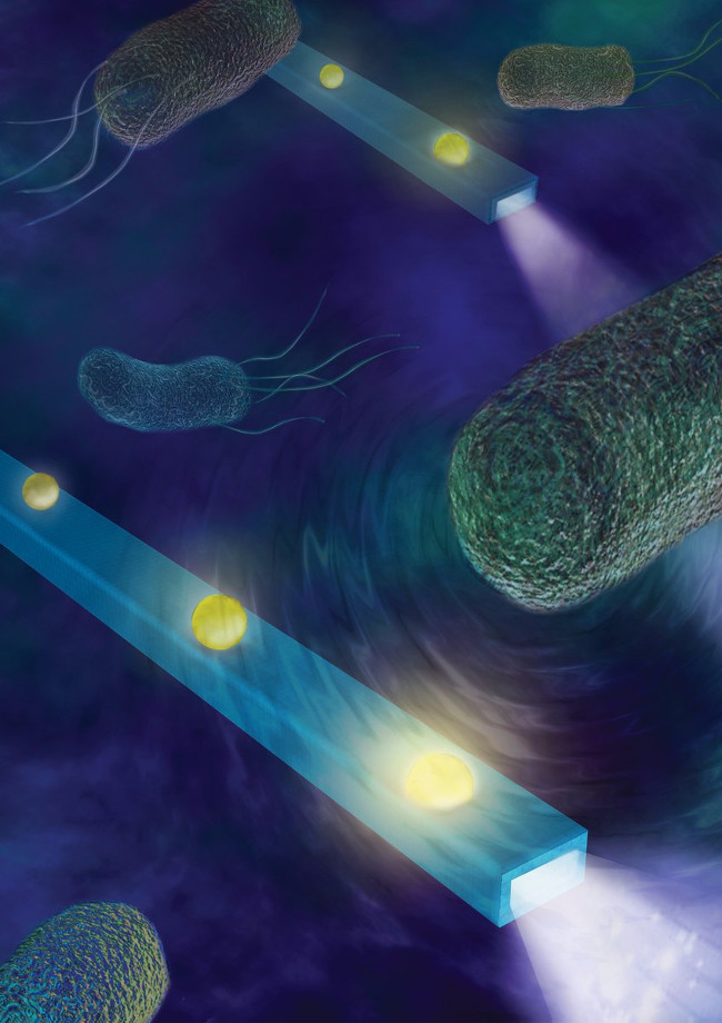 Mô phỏng những sợi cáp quang có kích thước vô cùng nhỏ đang bơi lội trong môi trường của các tế bào. 