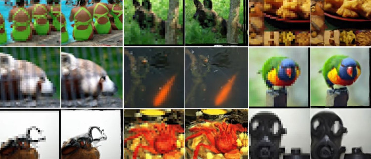 Những hình ảnh mà AI của Google tái tạo lại.