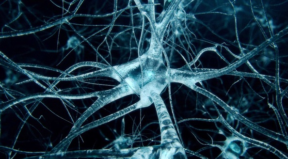 Các tế bào thần kinh bị tổn hại đe dọa đến tính mạng con người.