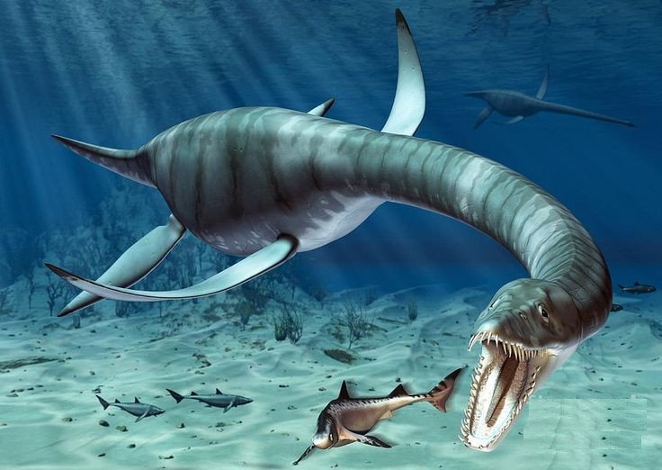 Hình ảnh tái hiện của Plesiosaur. 
