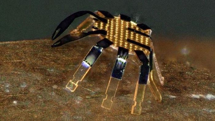 Siêu robot này được mô phỏng theo một con cua nhỏ