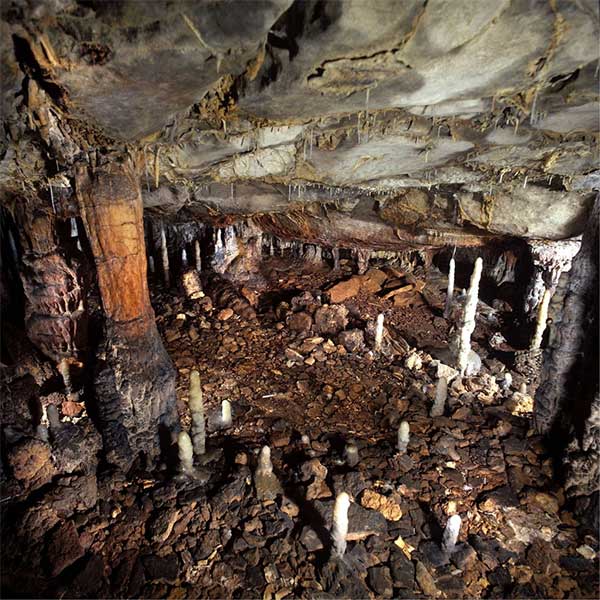 Địa điểm sinh sống của người Magdalenian cổ đại trong hang La Garma.