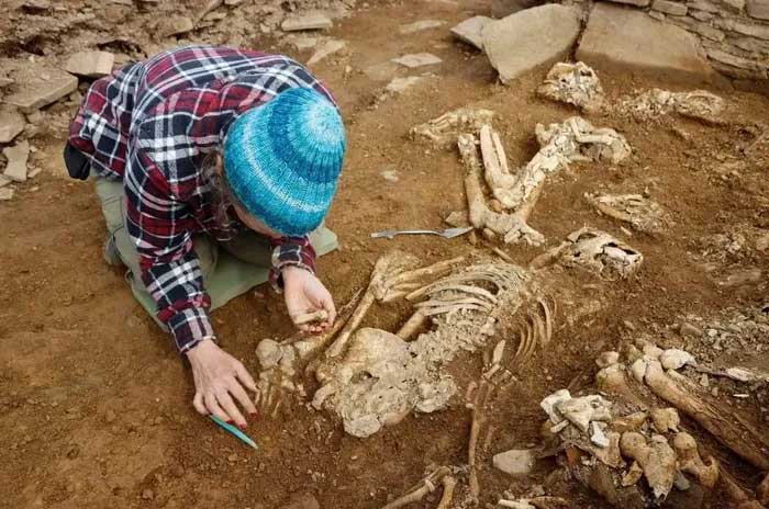  Những bộ xương của người tiền sử từ 5.000 năm trước. 
