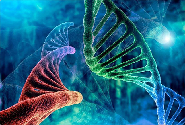 Sự lộn xộn DNA này không chỉ nằm rải rác giữa các gene