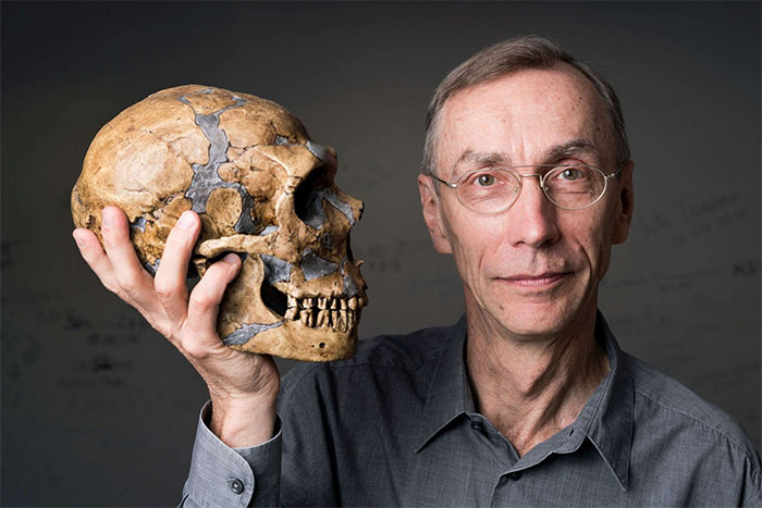 Hộp sọ của người Neanderthal