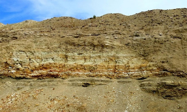 Các lớp đá phiến sét chứa lithium ở hõm chảo McDermitt.