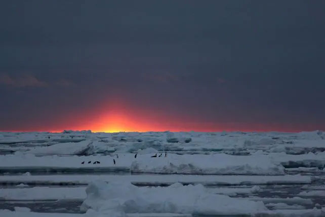  Nam Cực là nơi khô hạn nhất trên Trái đất. 