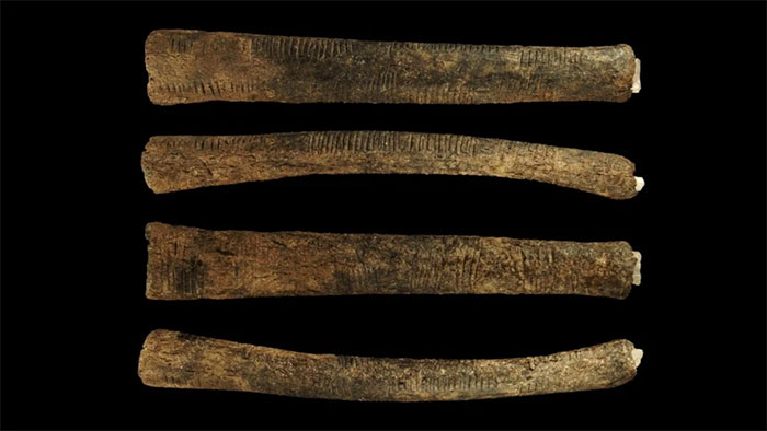 Các hình khắc trên xương Ishango thể hiện mức độ chính xác và sự khéo léo có chủ ý.