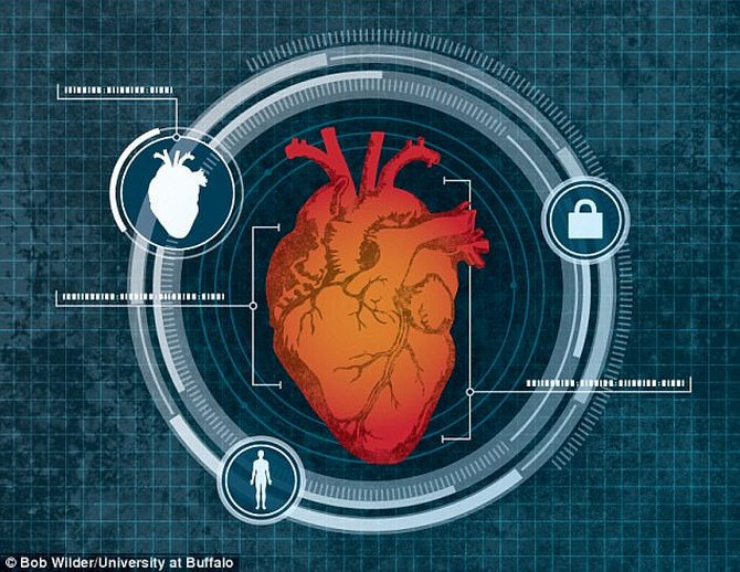 Hệ thống Cardiac Scan sử dụng chính hình dạng, kích thước trái tim để làm căn cứ định danh.